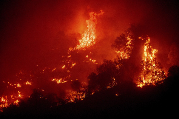 ▲▼美西山火、加州野火、大火、KNP Complex fire、KNP野火。（圖／達志影像／美聯社）