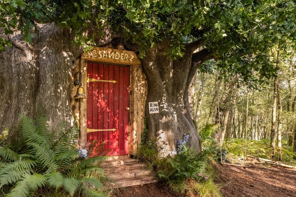 ▲▼迪士尼和旅宿平台Airbnb合作推出「Bearbnb」套房。（圖／翻攝自Airbnb）