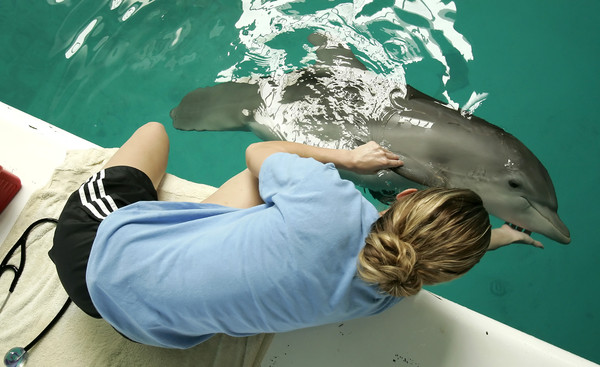 ▲▼ 2006年9月，佛州克利爾沃特海洋水族館Clearwater Marine Aquarium），保育員艾許莉（Ashley Riese）正在照顧瓶鼻海豚溫特（Winter）。（圖／達志影像／美聯社）
