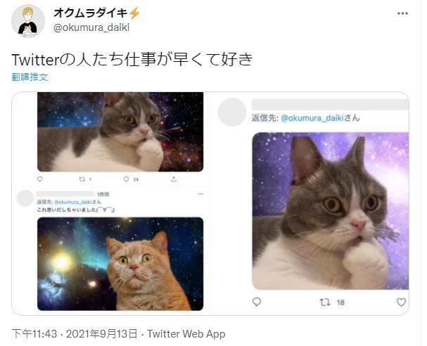 因為傻眼貓咪的表情讓網友連想到迷因梗圖，立馬有人Ｐ圖，原本截圖分享說道：最喜歡推特上的人作業神速。（圖片翻攝推特@okumura_daiki）