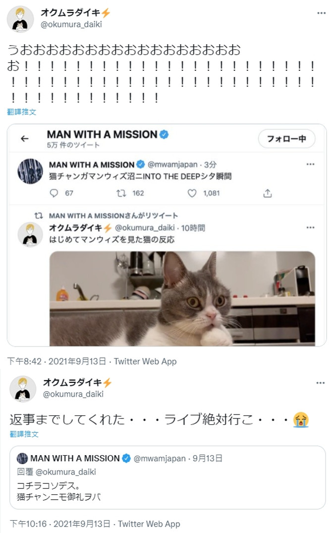 狼人樂團的主唱兼吉他手透過官方推特轉推貓咪影片，還與原PO回文互動並向貓咪問好，原本就是歌迷的原PO感動直呼一定要去看演唱會。（圖片翻攝推特@okumura_daiki）