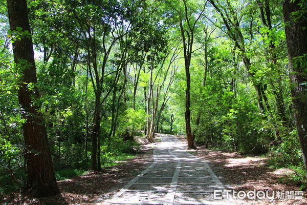 ▲奧萬大自然教育中心將於10月推出「森林療育」系列活動。（圖／林務局南投林管處提供）