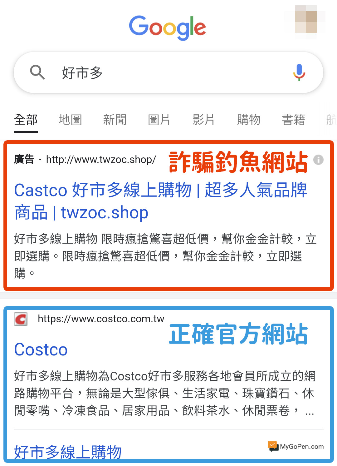 假的Costco好市多線上購物網站還下Google廣告！（圖／翻攝《MyGoPen查證平台》）