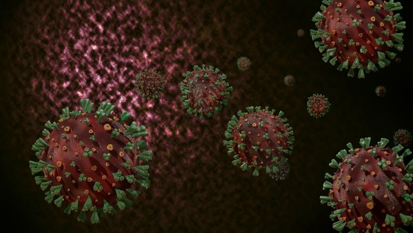 ▲▼美洲駝體內產生的奈米抗體能與新冠病毒結合。（圖／取自免費圖庫pixabay）