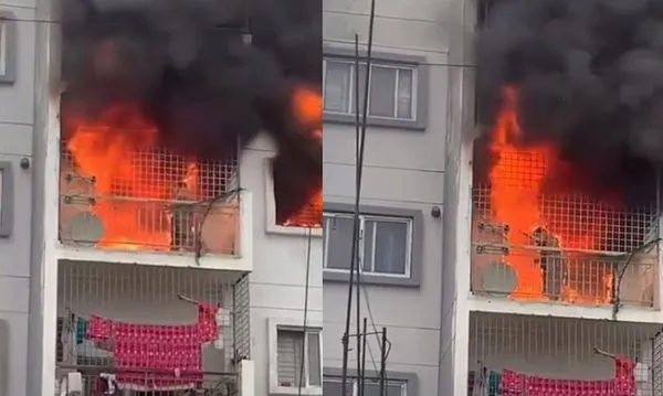 ▲▼             。（圖／翻攝自YouTube）