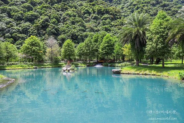 ▲▼三層坪農塘。（圖／小可愛阿貴授權提供，下同，請勿隨意翻攝以免侵權）