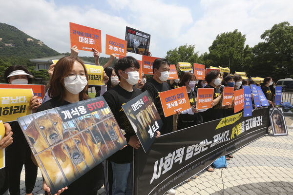 ▲▼南韓動保人士曾於去年7月在青瓦台附近舉行示威集會，抗議國內食用狗肉的文化。（圖／達志影像／美聯社）