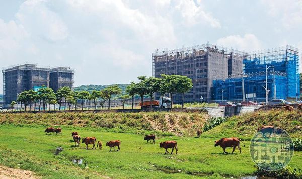 機捷A10山鼻站重劃區仍是田園風貌，但包括大華、新潤等上市建商皆看好後勢，積極插旗布局。