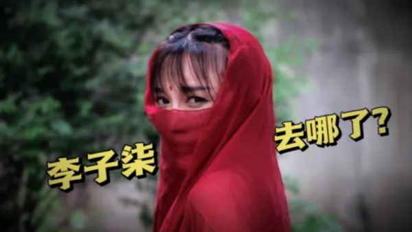 ▲▼李子柒斷更 。（圖／翻攝自微博）