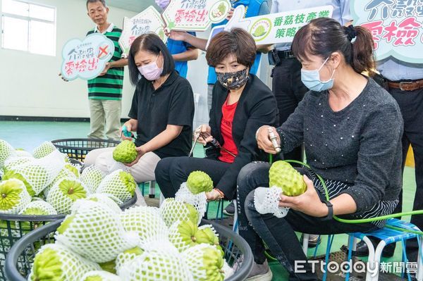 ▲▼饒慶鈴親自了解改良場研製的輸送帶式的乾式清潔機。（圖／台東縣政府提供，下同）