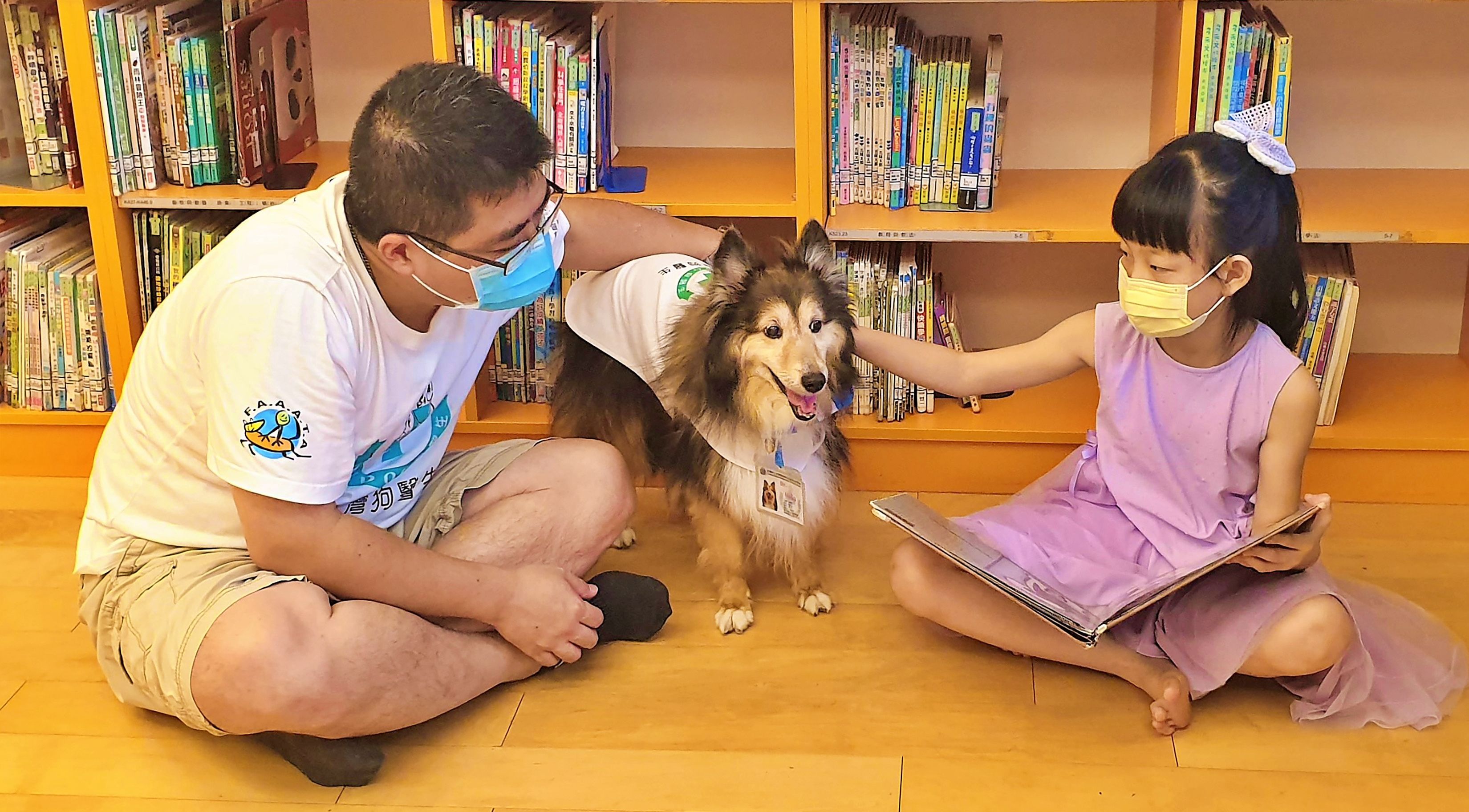 ▲新北市圖響應「世界動物日」 毛小孩化身最萌圖書館員。（圖／新北市立圖書館提供）