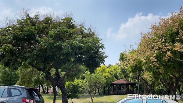 ▲▼ 公園宅。（圖／記者陳筱惠攝）