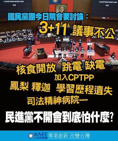 ▲▼陳玉珍表示國民黨195案都是重要民生議題。（圖／翻攝陳玉珍臉書）