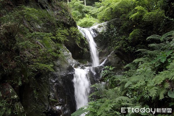 ▲奧萬大園區於國慶日和20、21分別推出門票優惠和森林療育活動。（圖／林務局南投林管處提供）