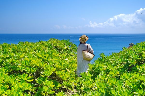 ▲▼花蓮奇萊鼻燈塔秘境。（圖／攝影師陳逸宏授權提供，請勿翻攝）