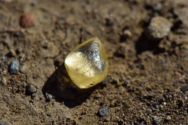 ▲▼女子去公園玩竟挖出重達4.38克拉的黃色鑽石。（圖／翻攝自阿肯色州鑽石坑州立公園）
