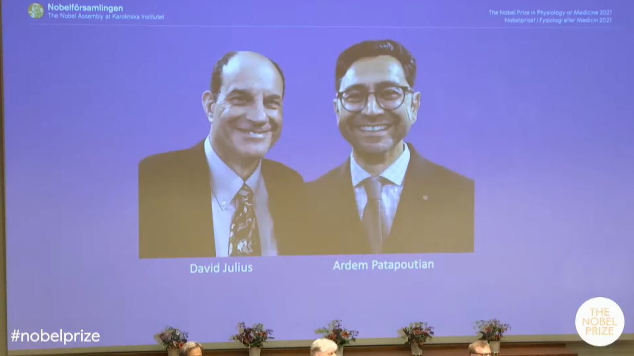 ▲▼2021年諾貝爾醫學獎頒給美國學者朱里雅斯（左）和帕塔普蒂安（右）。（圖／翻攝自YouTube／Nobel Prize）