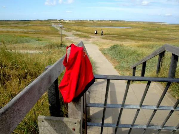 ▲▼內褲。（圖／取自免費圖庫WUNDERSTOCK）