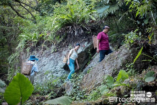 ▲▼高山森林基地的夥伴不只將手把手教導志工各種布農獵人知識，還會帶領志工探訪平常不對外開放的部落山林秘境。（圖／東管處提供，下同）