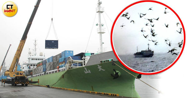 賽鴿冬季賽開跑，台灣賽制會以船隻將鴿子運送至海中放飛，萬鴿齊飛相當壯觀。（圖／報系資料照，CTWANT合成）
