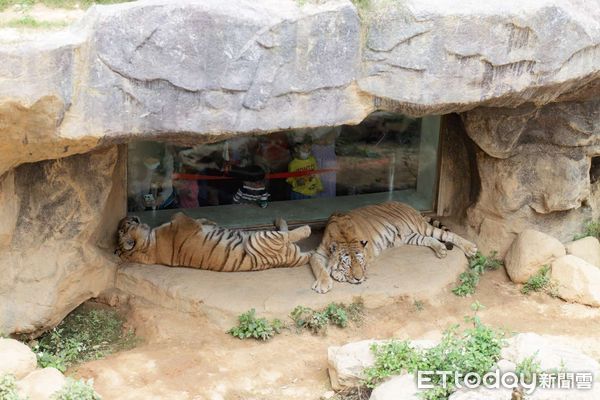 ▲雙十限定！　全民一日免費暢遊新竹市動物園。（圖／記者陳凱力翻攝）