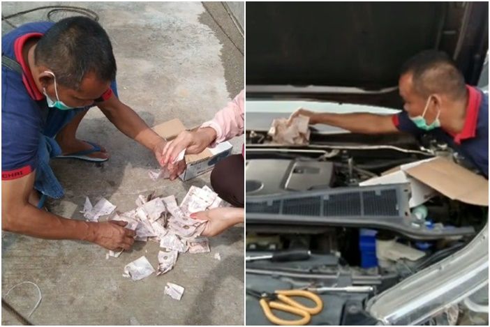 ▲▼ 泰國男子把錢藏在車子上，被老鼠啃光。（圖／翻攝自抖音）