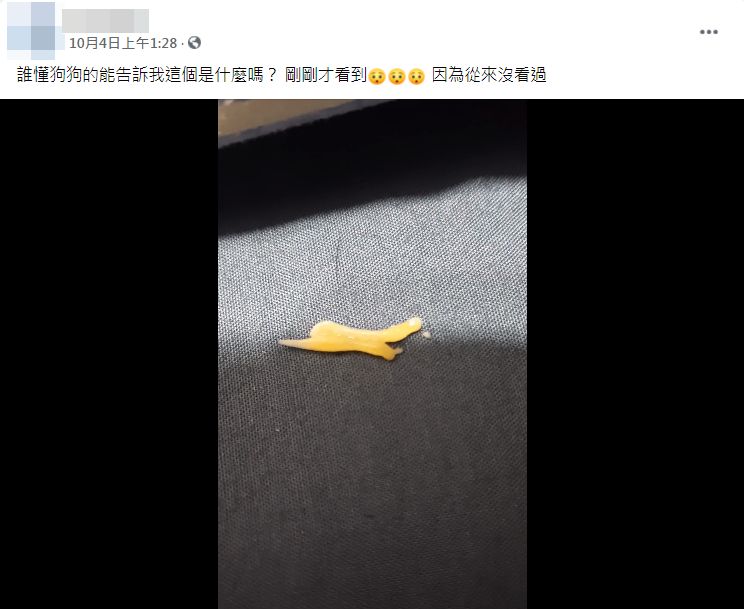 ▲一名女網友在床上驚見一坨「起司」瘋狂蠕動。（圖／翻攝自Facebook／爆廢公社公開版）