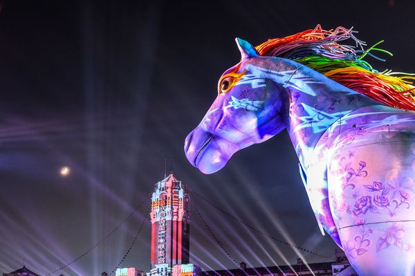 ▲▼「雨馬」燈光秀將於國慶日當天最後一晚現身總統府。（圖／紙風車劇團提供）