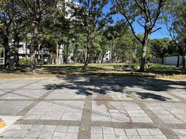 ▲竹北新貴城「公園搭帳露一晚？」　「平價」罰金曝光好意外。（圖／網友提供）