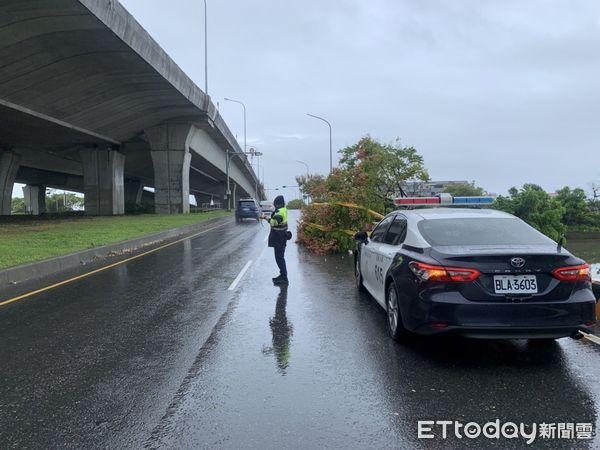 ▲▼羅東路樹因為颱風圓規強風襲來而傾倒，員警拉起封鎖線並協助搬離。（圖／記者陳豐德翻攝）