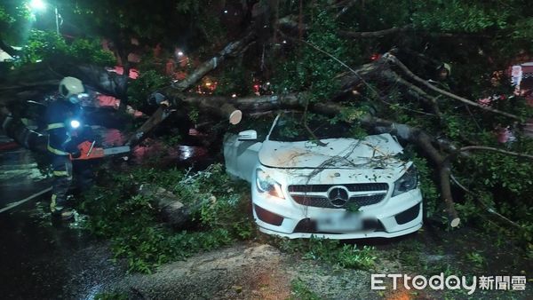 ▲11日晚間松山區健康路198號有路樹倒塌、警消到場救出車上兩人。（圖／記者張君豪翻攝）