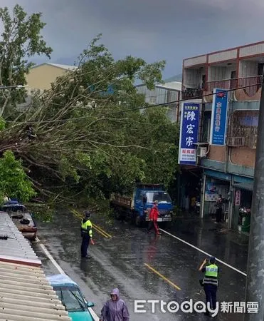 ▲老榕樹不敵強大風雨應聲倒下，樹梢壓到路過的1部自小客車。（圖／記者楊漢聲翻攝）