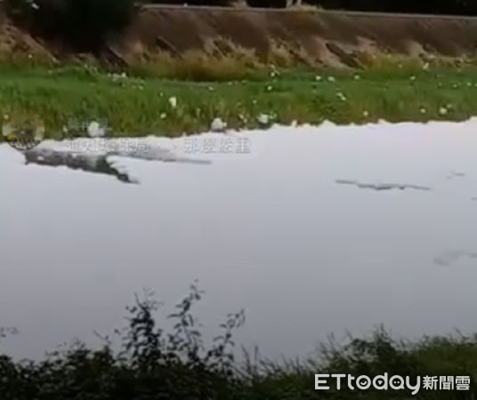 下雪了？觀音工業區白色泡沫佈滿大堀溪河面　網紅怒檢舉 | ETtoday