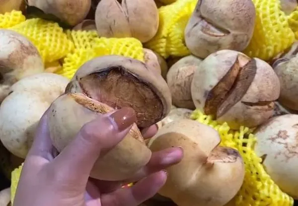 ▲外觀奇醜無比的爆炸桃。（圖／翻攝人民資訊）