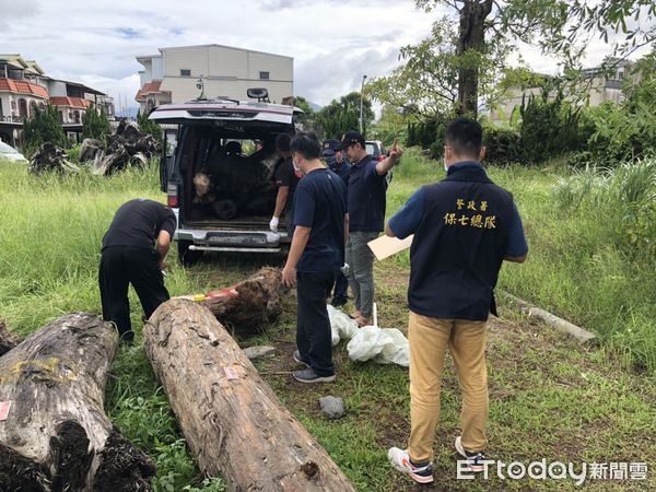 ▲▼警方起出陳嫌趁颱風過後撿拾市價10多萬元的紅檜、扁柏等珍貴漂流木。（圖／記者游芳男翻攝，下同）