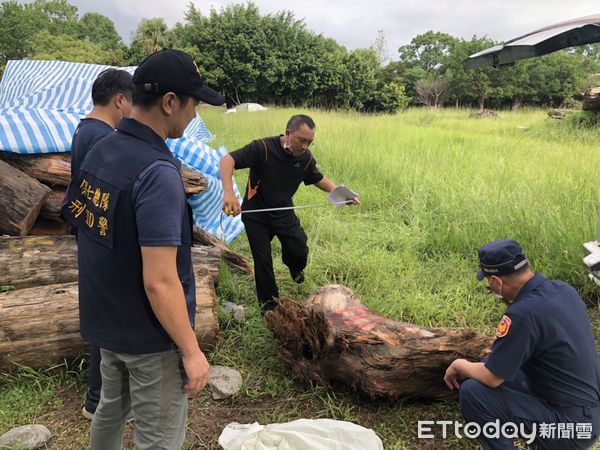 ▲▼警方起出陳嫌趁颱風過後撿拾市價10多萬元的紅檜、扁柏等珍貴漂流木。（圖／記者游芳男翻攝，下同）