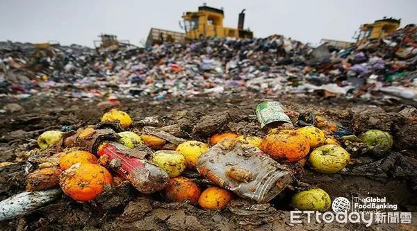 ▲▼台灣一年浪費的食物高達384萬噸，高達1萬3500座101這麼高。（圖／台灣全民食物銀行協會提供）