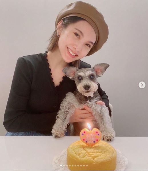 ▲楊丞琳愛犬Yumi。（圖／翻攝自Instagram／rainie77）