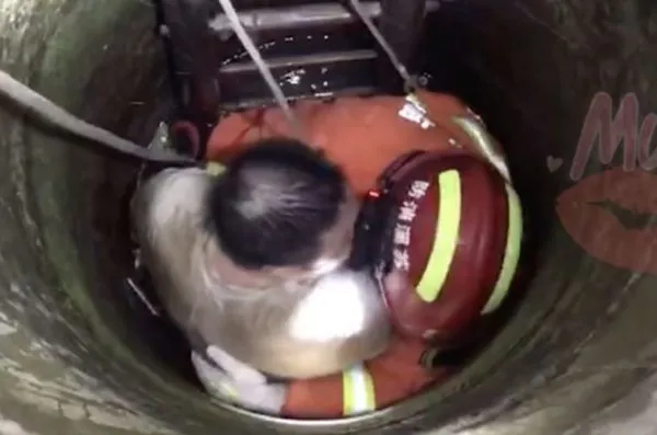 ▲▼影／消防員垂降井底救醉叔叔　突遭「深情濕吻」無處可逃！。（圖／翻攝微博）