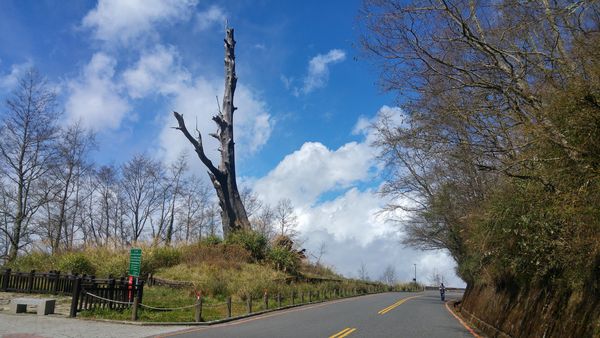 ▲新中橫獲獎路段。（圖／公路總局提供）