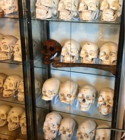 ▲▼美國紐約一名男子在網路上拍賣人骨。（圖／翻攝自Tiktok／@jonsbones）