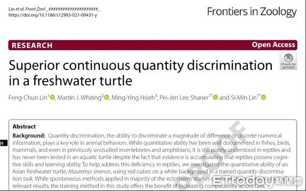 ▲▼台師大發現烏龜優異數感能力媲美巨猿。（圖／台師大提供） 