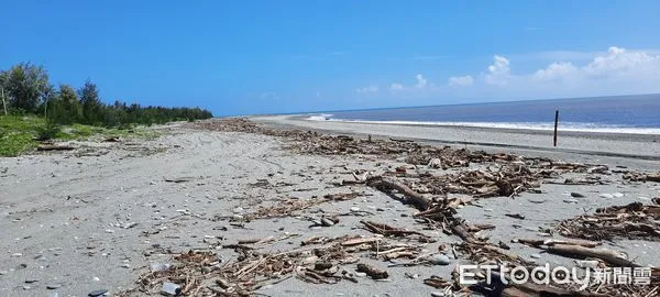 ▲保安林漂流木。（圖／記者楊漢聲翻攝）