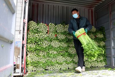 「大客戶」誇口買下整車菜　菜販被當免費司機還損失5千元