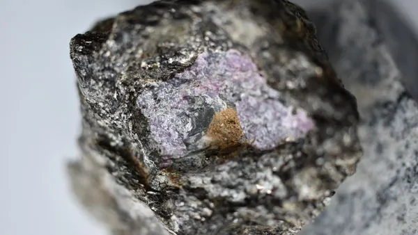 ▲▼滑鐵盧大學的研究人員在紅寶石樣本含有的石墨中，發現25億年前的古老生命。（圖／取自滑鐵盧大學）
