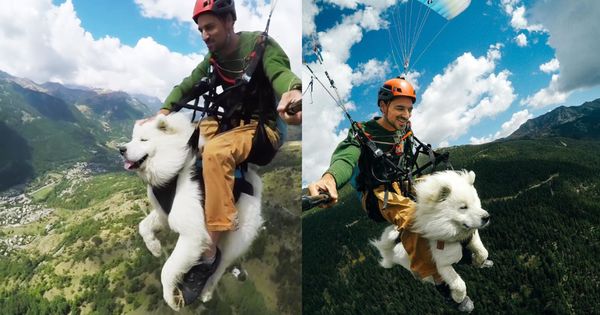 法國導演Shams日前與愛犬Ouka，一起乘坐飛行傘飛上天，Ouka淡定的吹著風看著風景，加上薩摩耶天生呆萌的可愛模樣，飛行過程的影片在網路爆紅。（圖片翻攝IG@shamsfilmmaker／@ouka.sam）