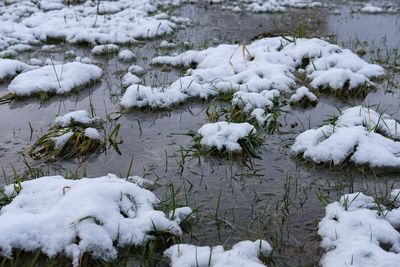 「融化、溶化、熔化、鎔化」傻傻分不清楚！　用這個去想秒運用