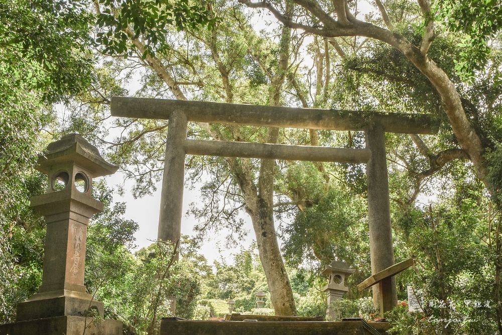 秒飛日本！隱身花蓮的神社遺跡鳥居、石燈籠、參拜道成拍照熱點