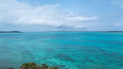 丟臉丟到國外！台灣遊客沖繩自駕遊　慘遭租車業者列入黑名單