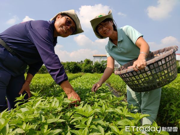 ▲「樸作良食」外銷聯盟成立，挑戰專職百萬年薪」             。（圖／記者陳崑福翻攝，以下同）